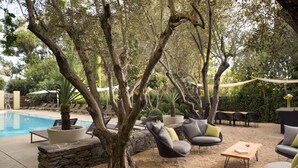 Zona junto a la piscina con sillones de descanso, una mesa y una planta en maceta.