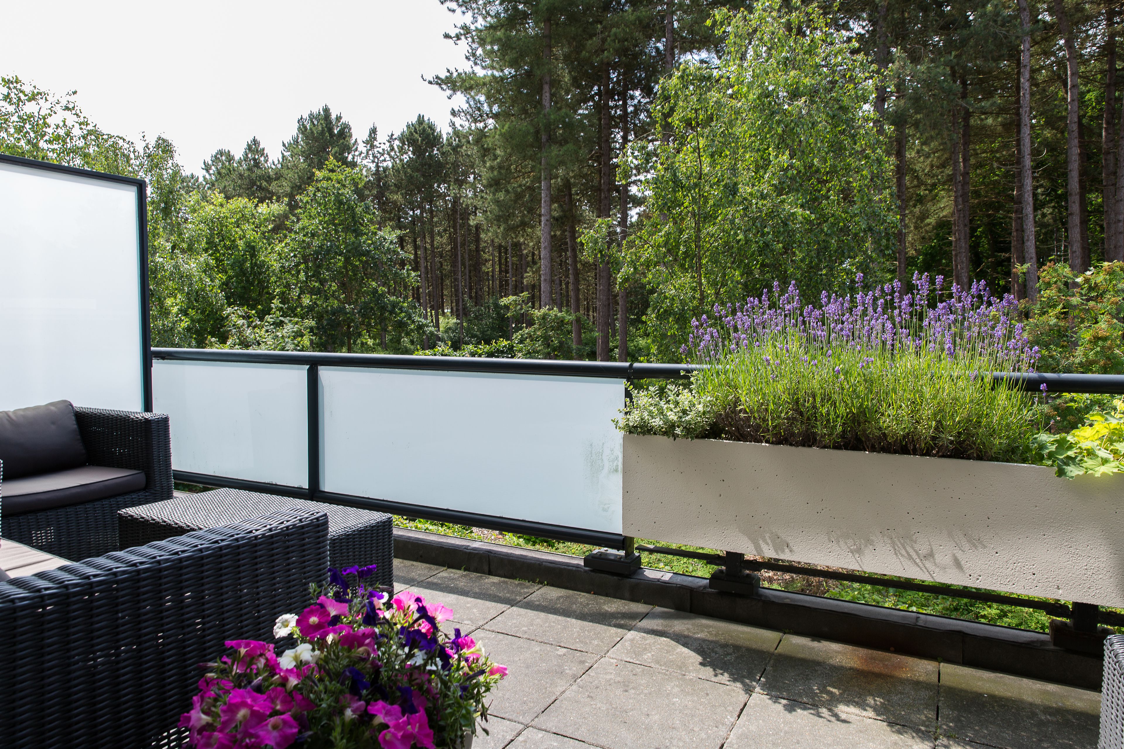 Ein Balkon mit Korbmöbeln, einem Blumenkasten und Blick auf einen Wald.