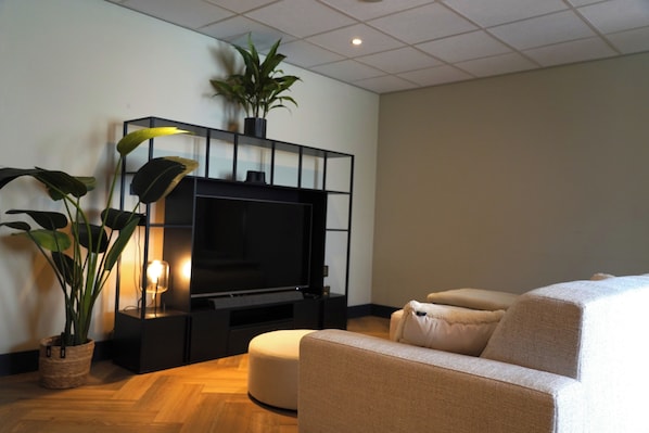 A modern living room with a flat-screen TV, a sofa, and potted plants.