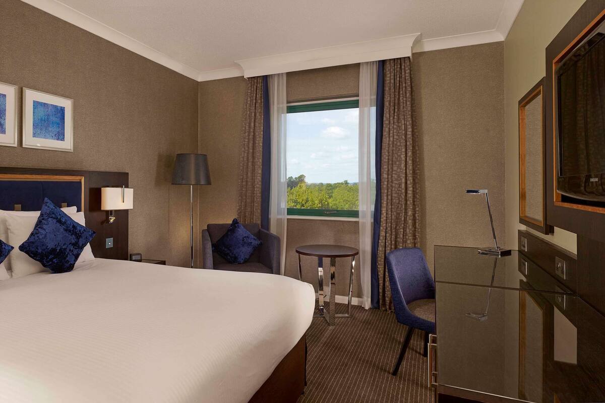 Habitación de hotel con una cama grande, un escritorio, una silla, un televisor y una ventana con vista a zonas verdes.