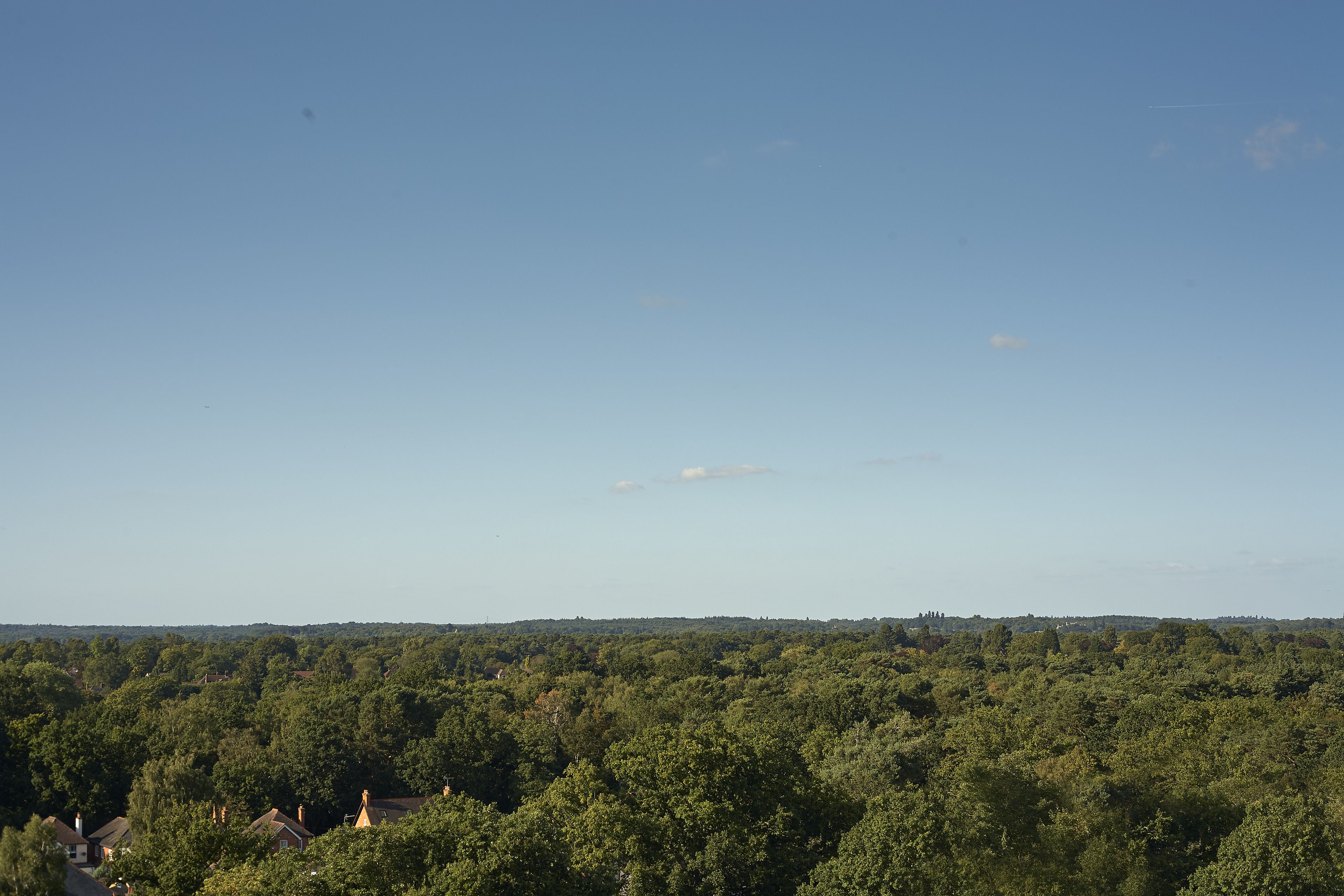 Foto - DoubleTree by Hilton Woking