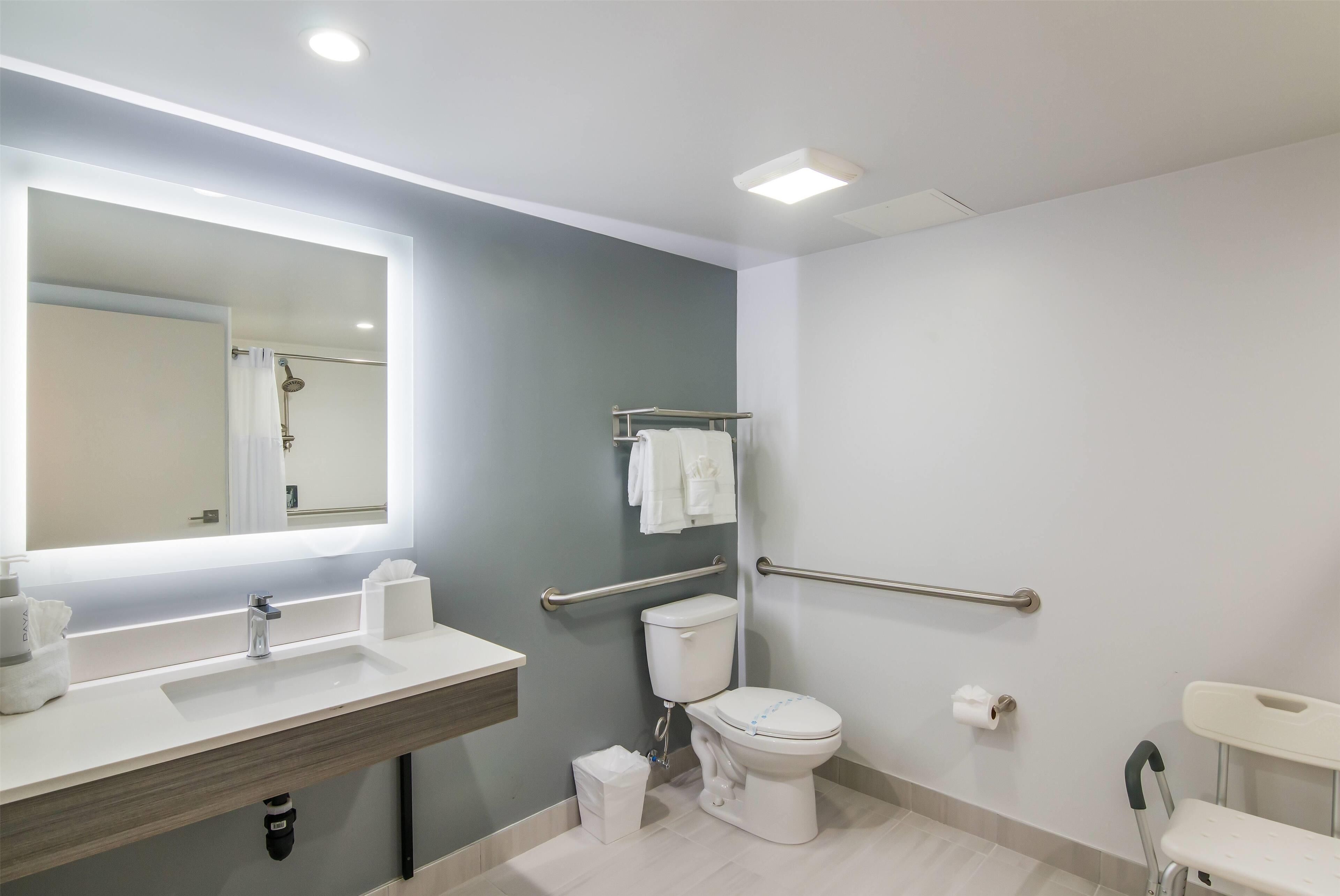 Room, 1 King Bed, Mobility Accessible, Non Smoking (Hearing, Roll-in Shower) | Accessible bathroom