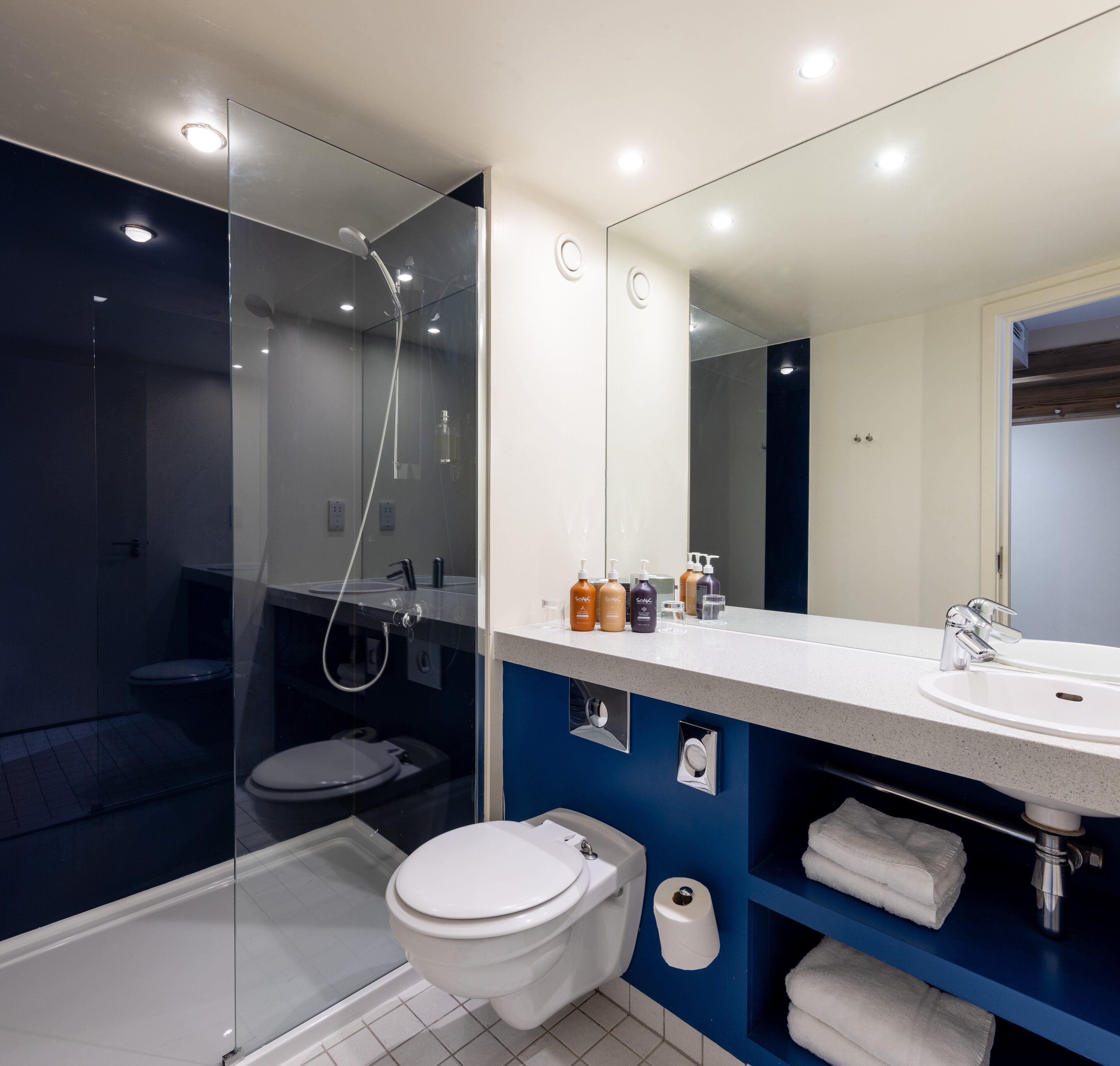 shower, designer toiletries, hair dryer, towels