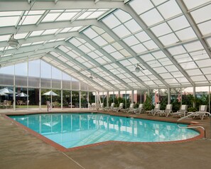 Indoor pool, pool loungers