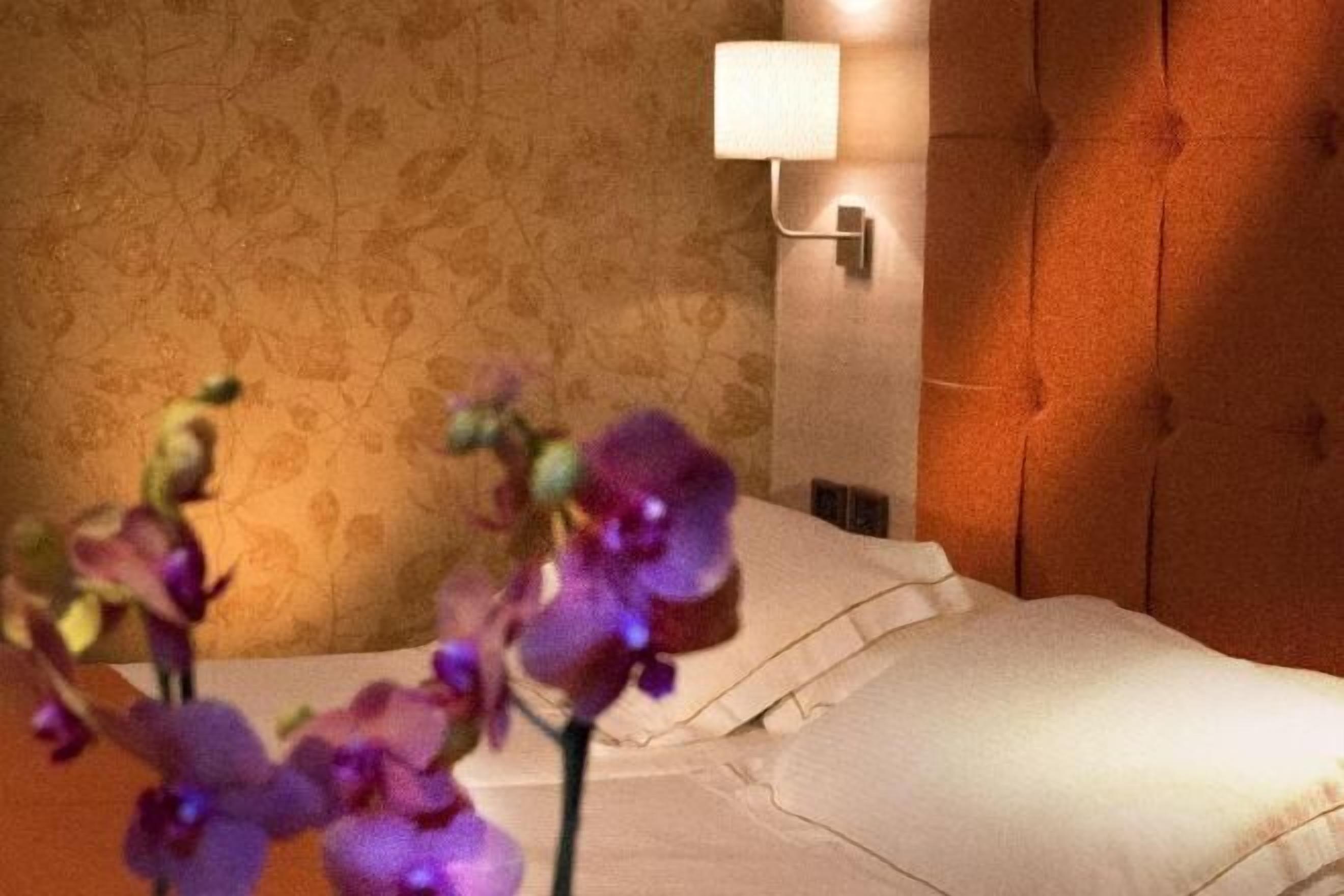 Ropa de cama de alta calidad, edredón y minibar 