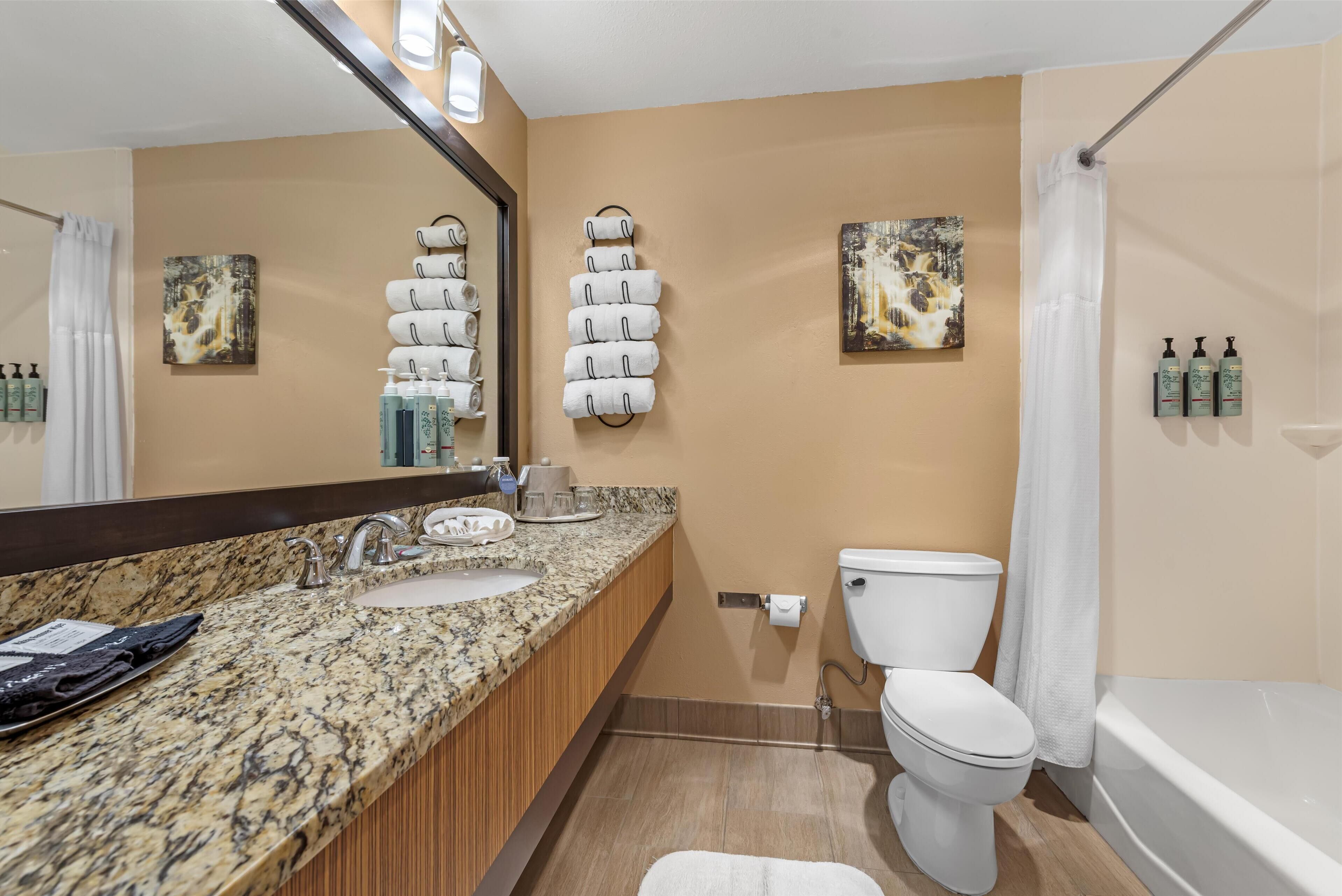 standard room, 2 queen beds, refrigerator & microwave, mountain view | bathroom | hair dryer, towels