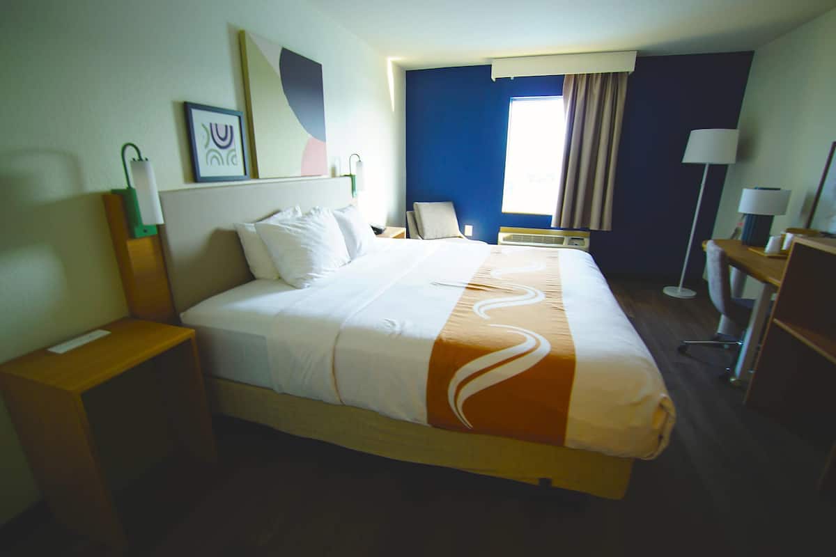 Standard Room, 1 King Bed, Non Smoking