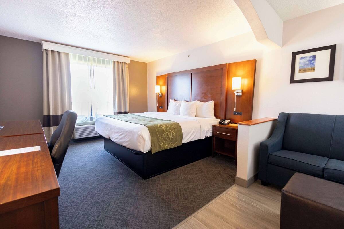 Une chambre d’hôtel comprenant un lit, un bureau, une chaise, un canapé et une fenêtre avec des rideaux.