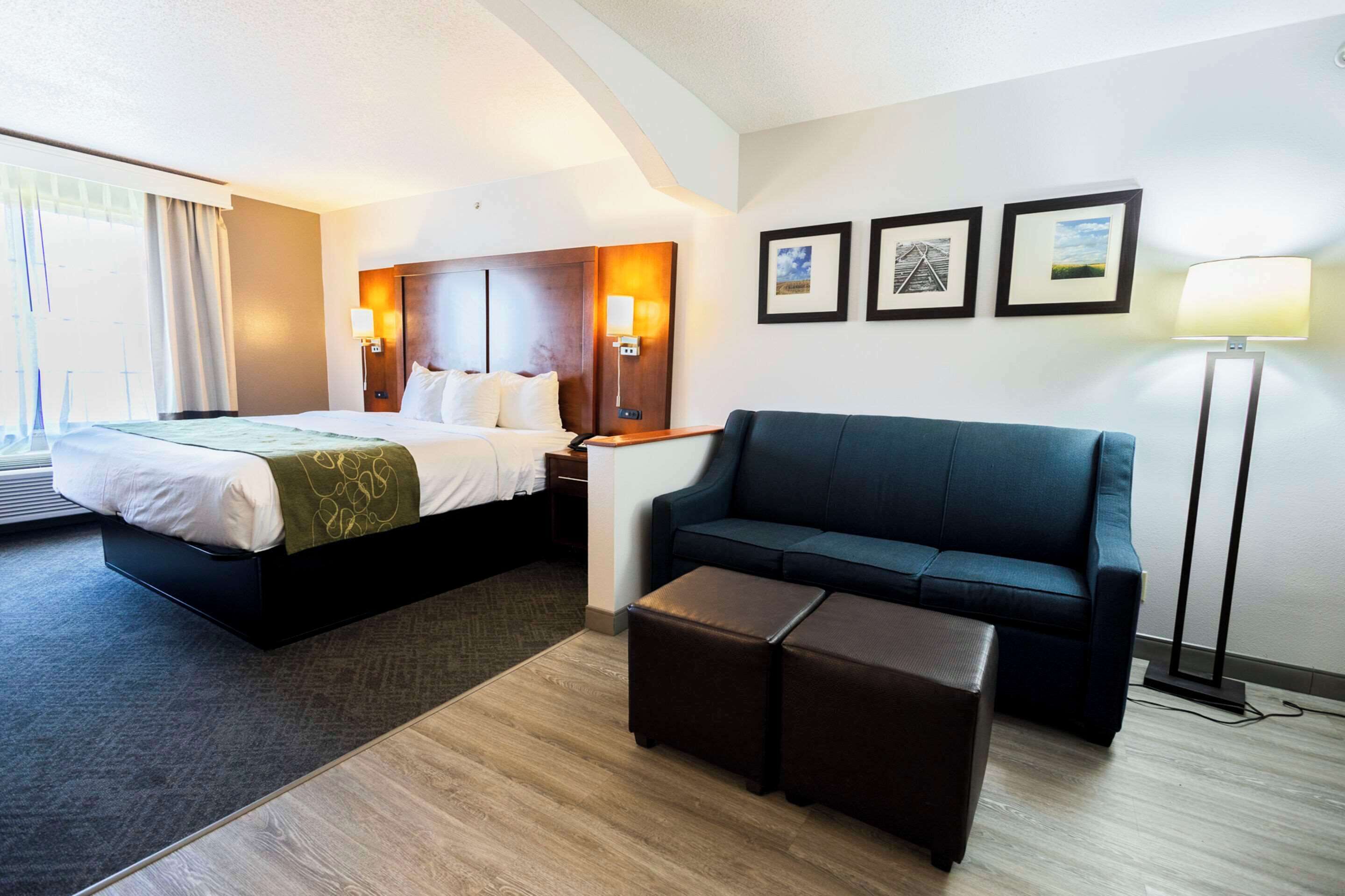Une chambre d’hôtel avec un lit, un canapé, une table basse et une lampe sur pied.