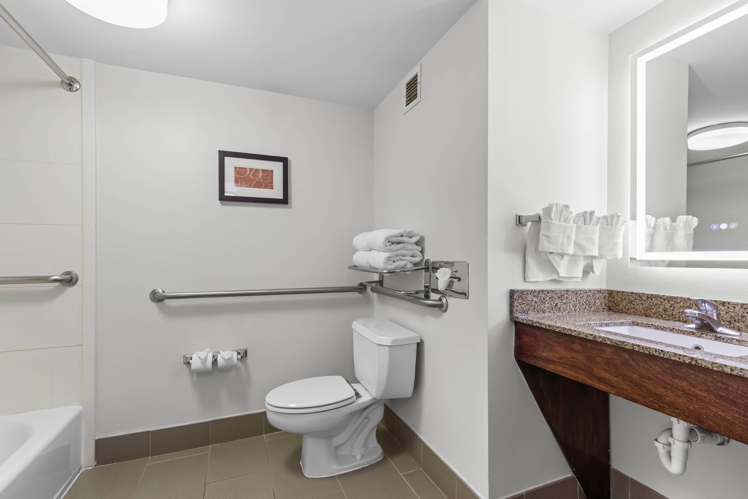 Un baño con un inodoro blanco, un pasamanos, un cuadro en la pared y un lavabo con espejo.