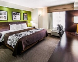 Standard Room, 1 King Bed, Non Smoking | Premium bedding, in-room safe, desk, laptop workspace