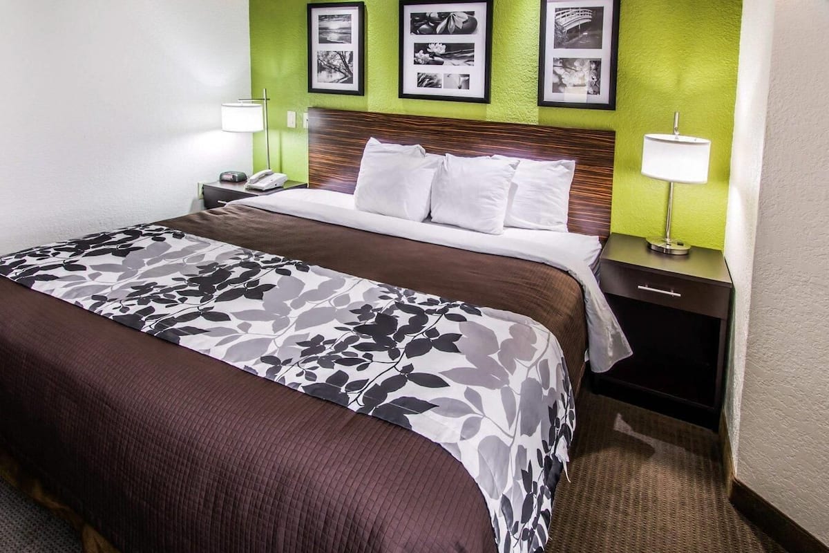 Room, 1 King Bed, Non Smoking (Promotional)