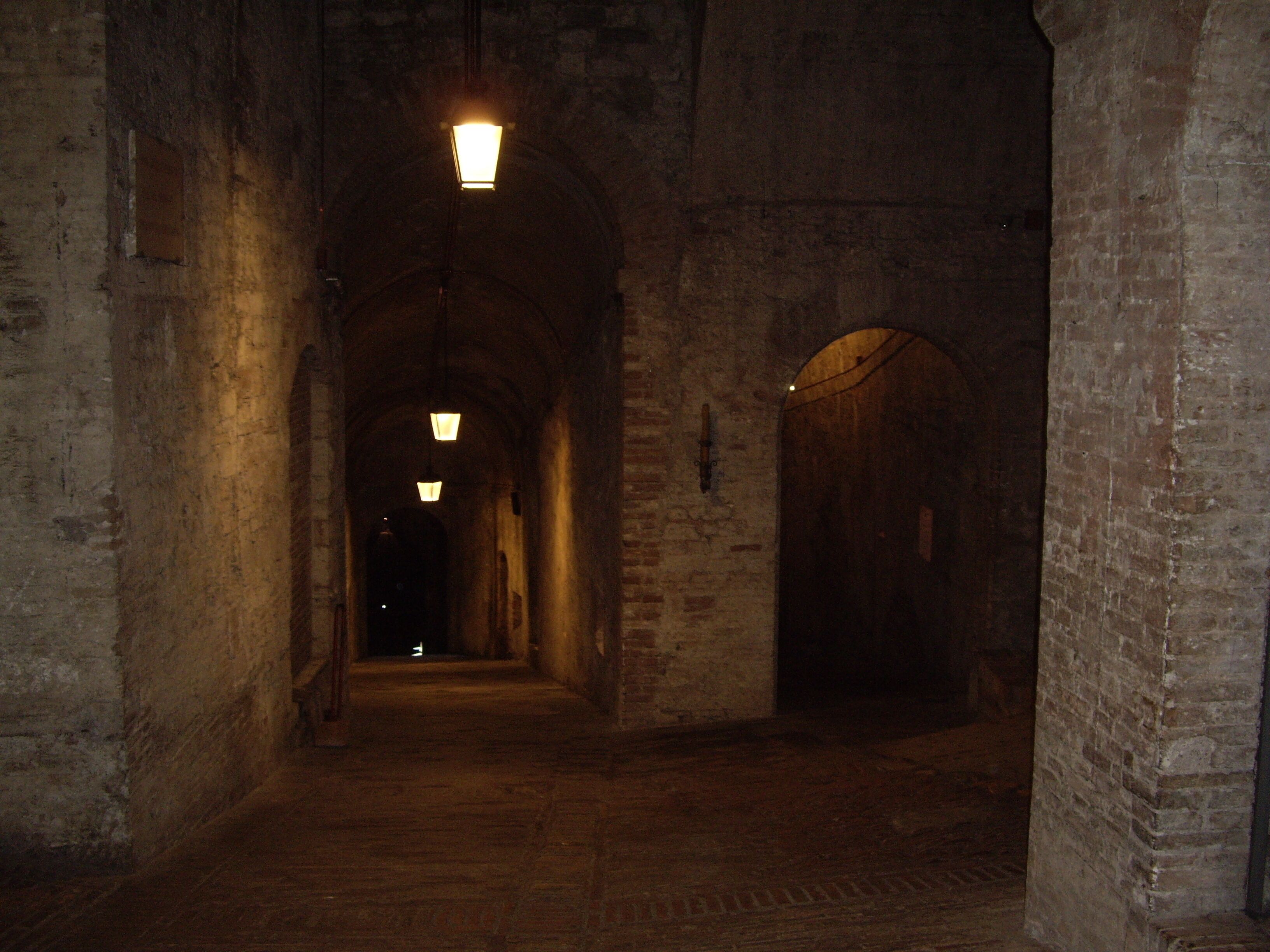 A narrow, dimly lit corridor with brick walls and a wooden floor, leading to a dark doorway at the end.
