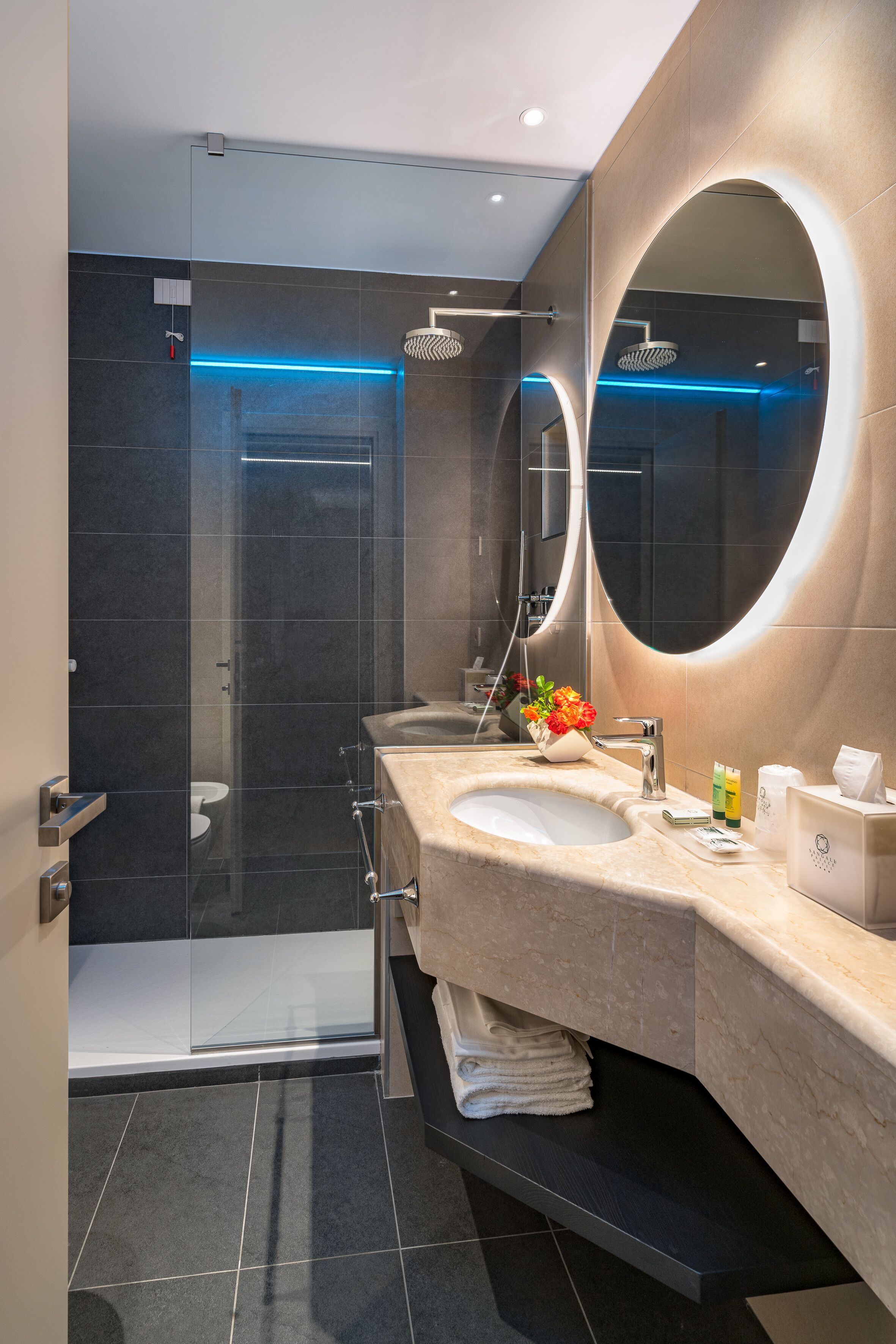 eco-friendly toiletries, hair dryer, bidet, towels