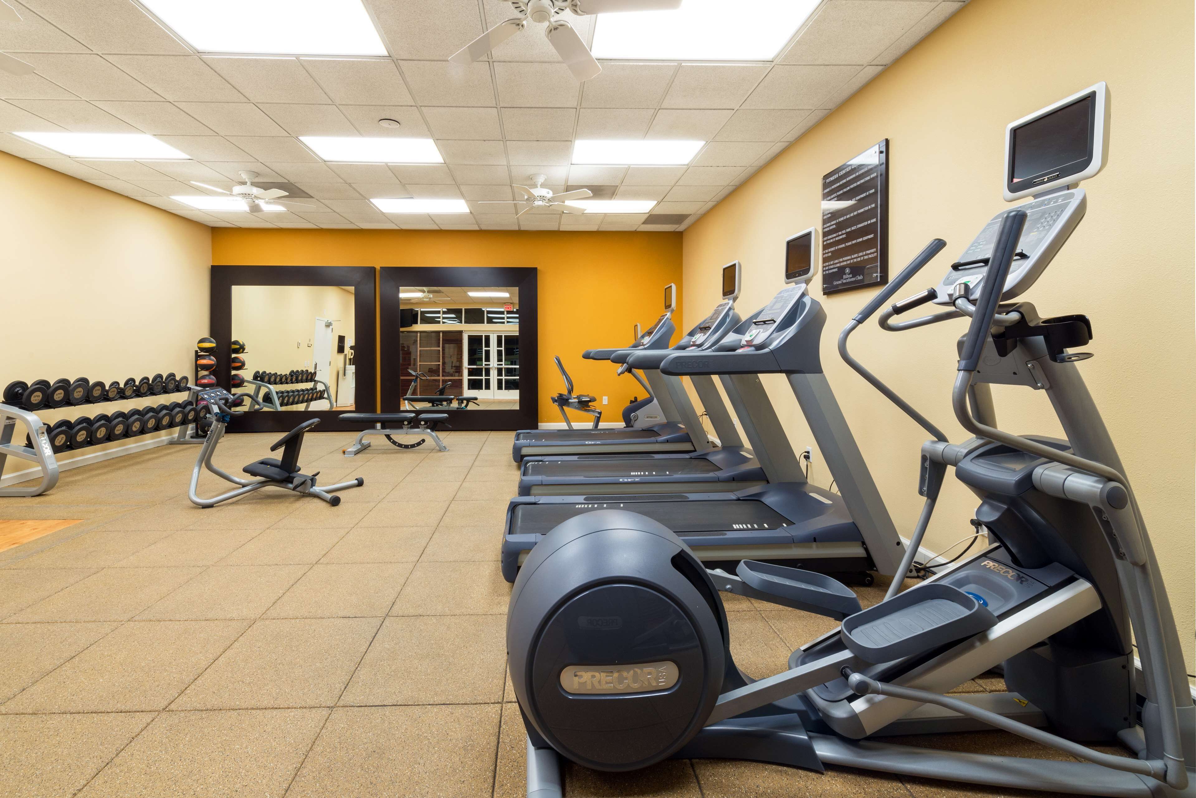 A gym with treadmills, dumbbells, and exercise equipment.