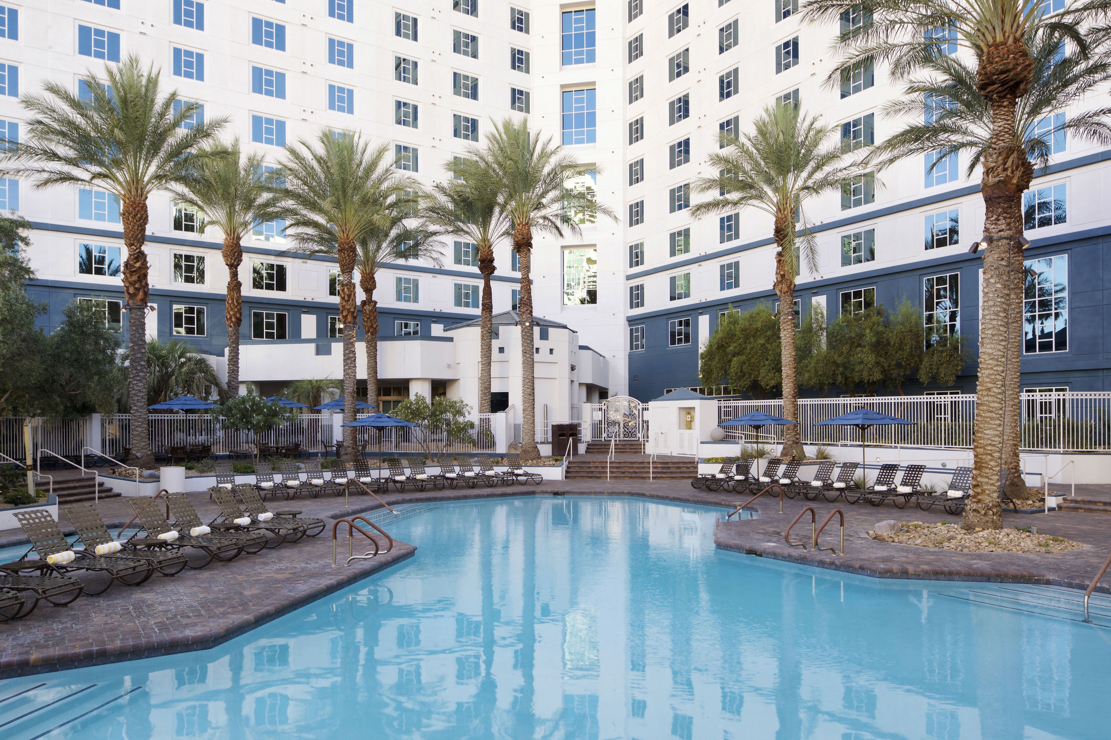 A hotel pool area with multiple lounge chairs and palm trees.