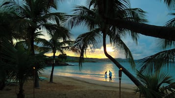 A beach scene with palm trees and a sunset.