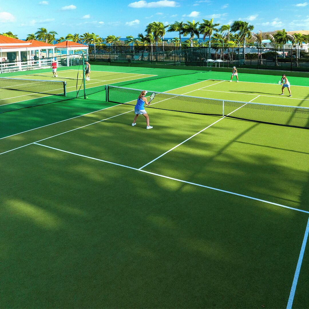 A tennis court with multiple players, surrounded by palm trees and a clear sky.