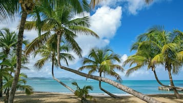 Plage, sable blanc, navette gratuite vers la plage