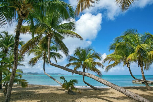 On the beach, white sand, free beach shuttle, beach cabanas