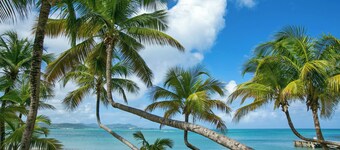 The Buccaneer Beach & Golf Resort