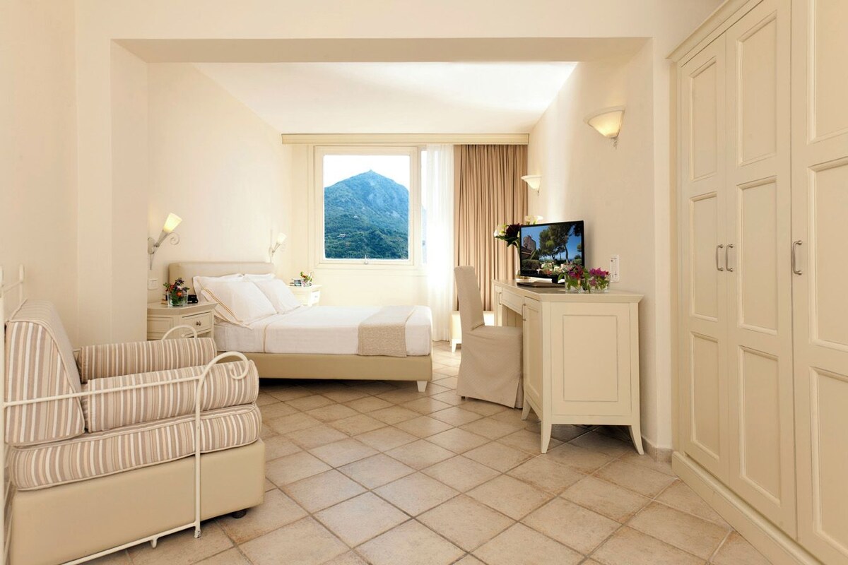 A hotel room with a bed, a desk with a TV, a wardrobe, and a view of a mountain.