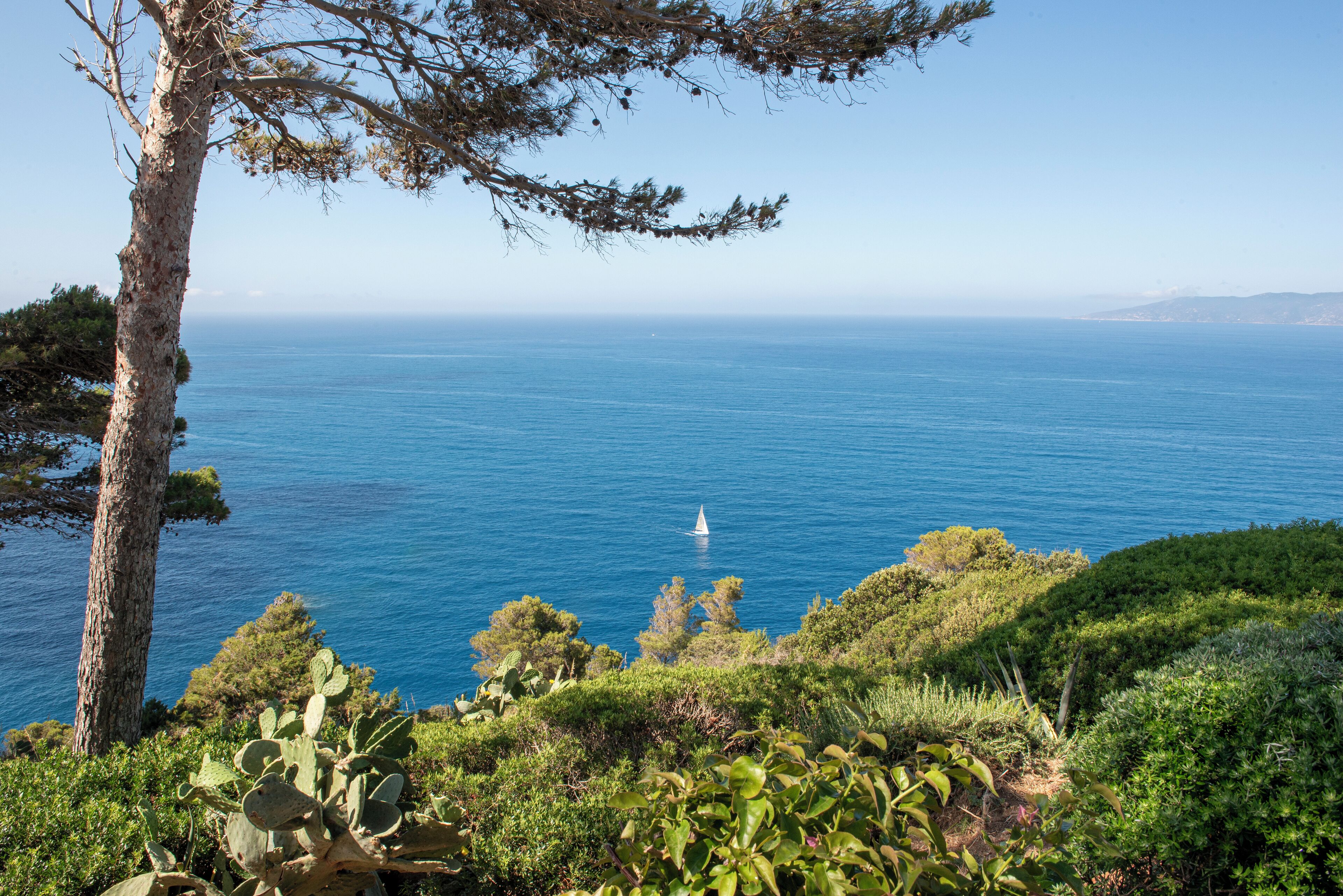 A coastal landscape with a clear view of the sea and a sailboat in the distance.