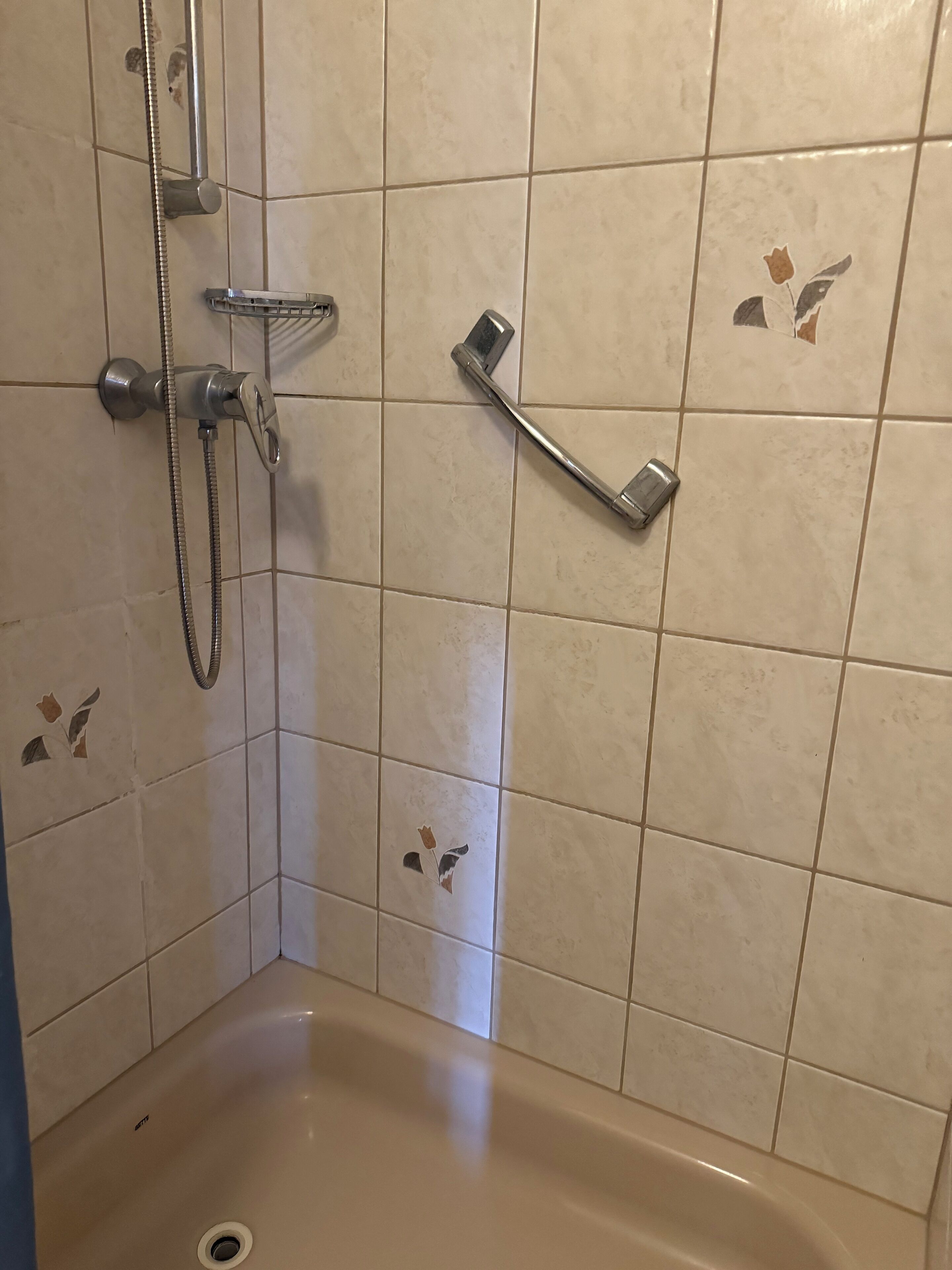 A shower area with a handheld showerhead, a handheld showerhead, and a grab bar.