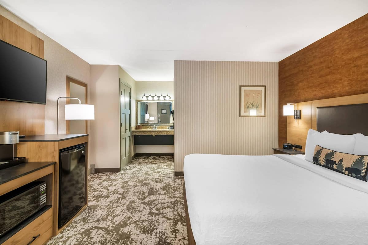 A hotel room with a bed, a TV, a desk with a microwave, a sink, and a mirror.