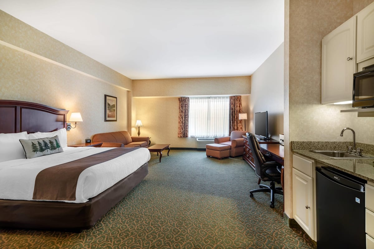 A hotel room with a large bed, a desk, a chair, a television, a microwave, and a sink.