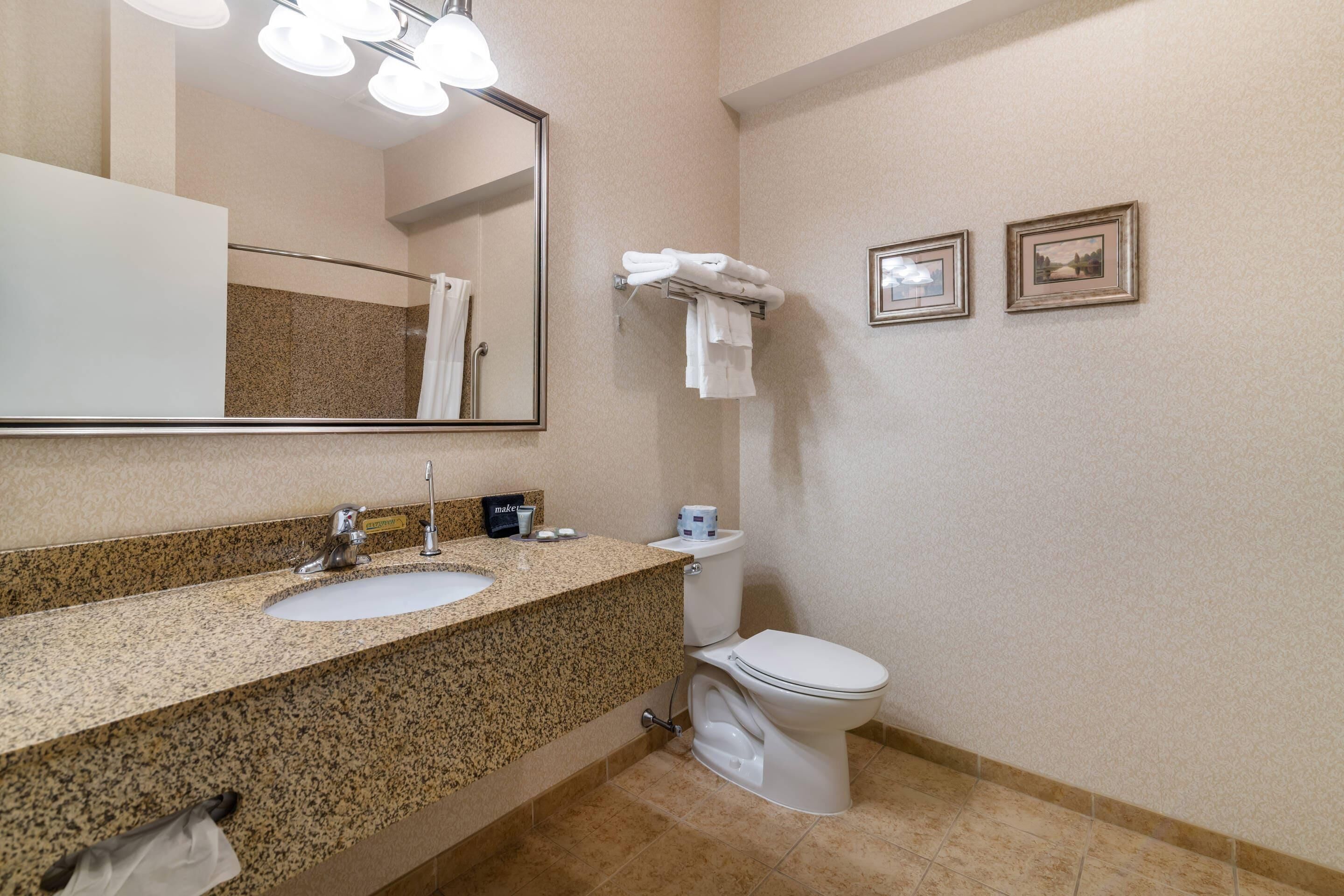 A bathroom with a granite countertop sink, a mirror, a toilet, and two framed pictures on the wall.