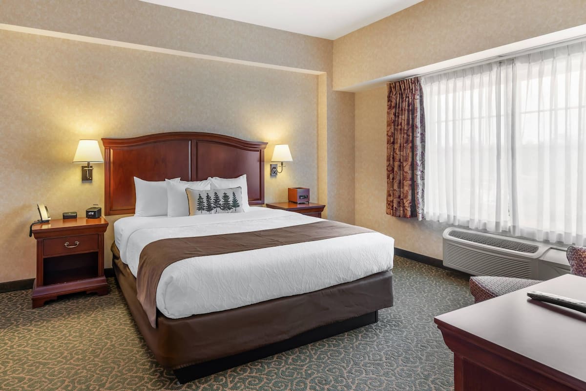 Suite, 1 King Bed with Sofa bed, Non Smoking | Hypo-allergenic bedding available, desk, laptop workspace
