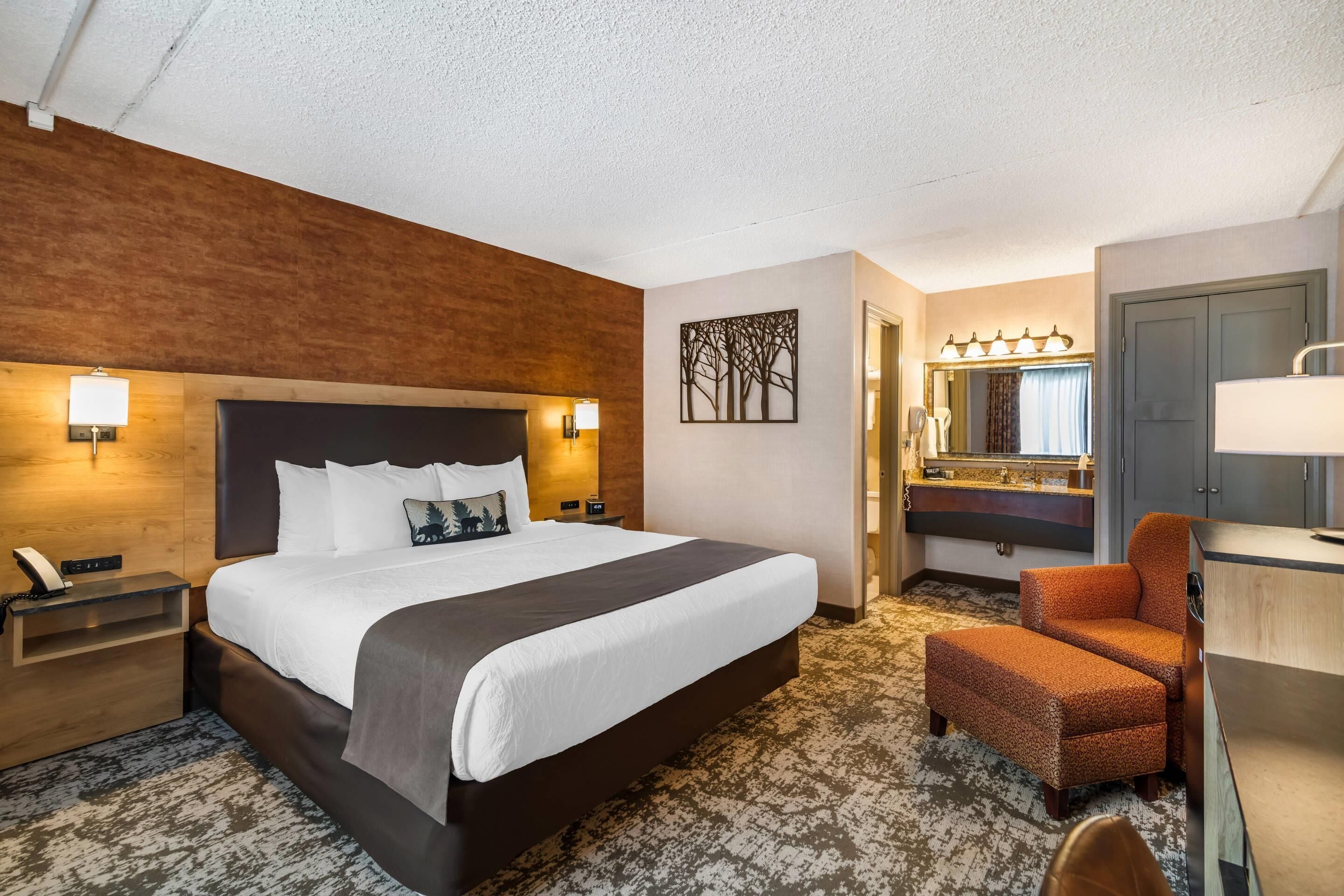 Habitación estándar, 1 cama de matrimonio grande, no fumadores | Ropa de cama hipoalergénica y escritorio