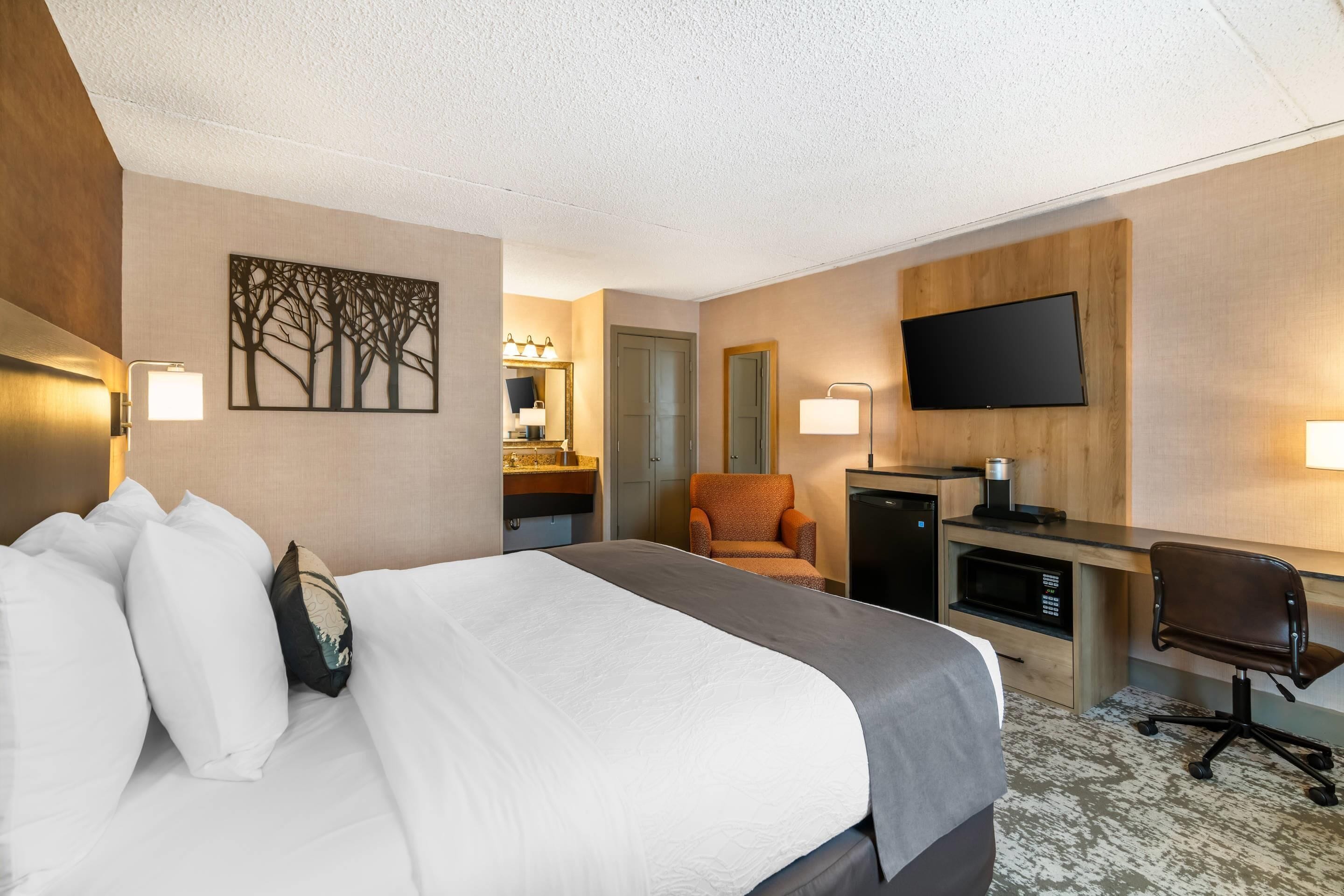 标准房, 1 张特大床, 无烟房 | 防过敏的被褥、办公桌、笔记本电脑工作区、遮光窗帘