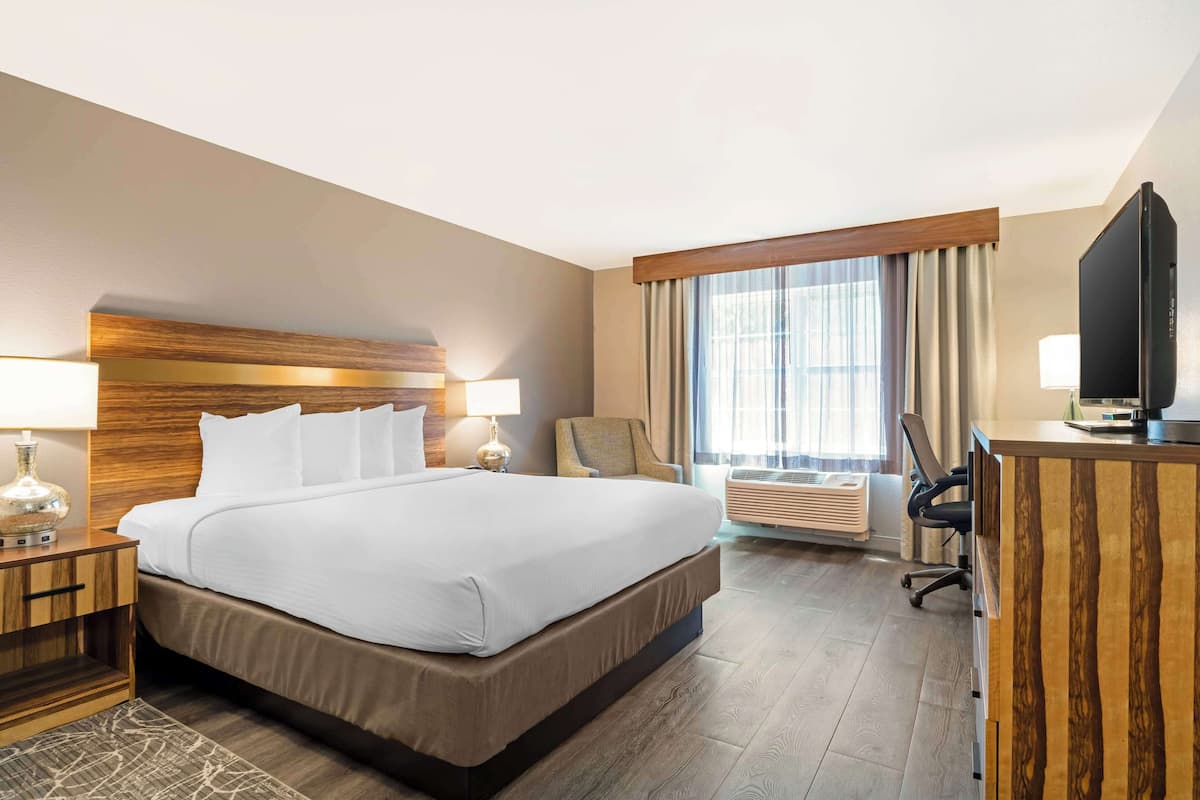 Standard Room, 1 King Bed, Accessible, Non Smoking | Desk, laptop workspace, iron/ironing board, free cribs/infant beds
