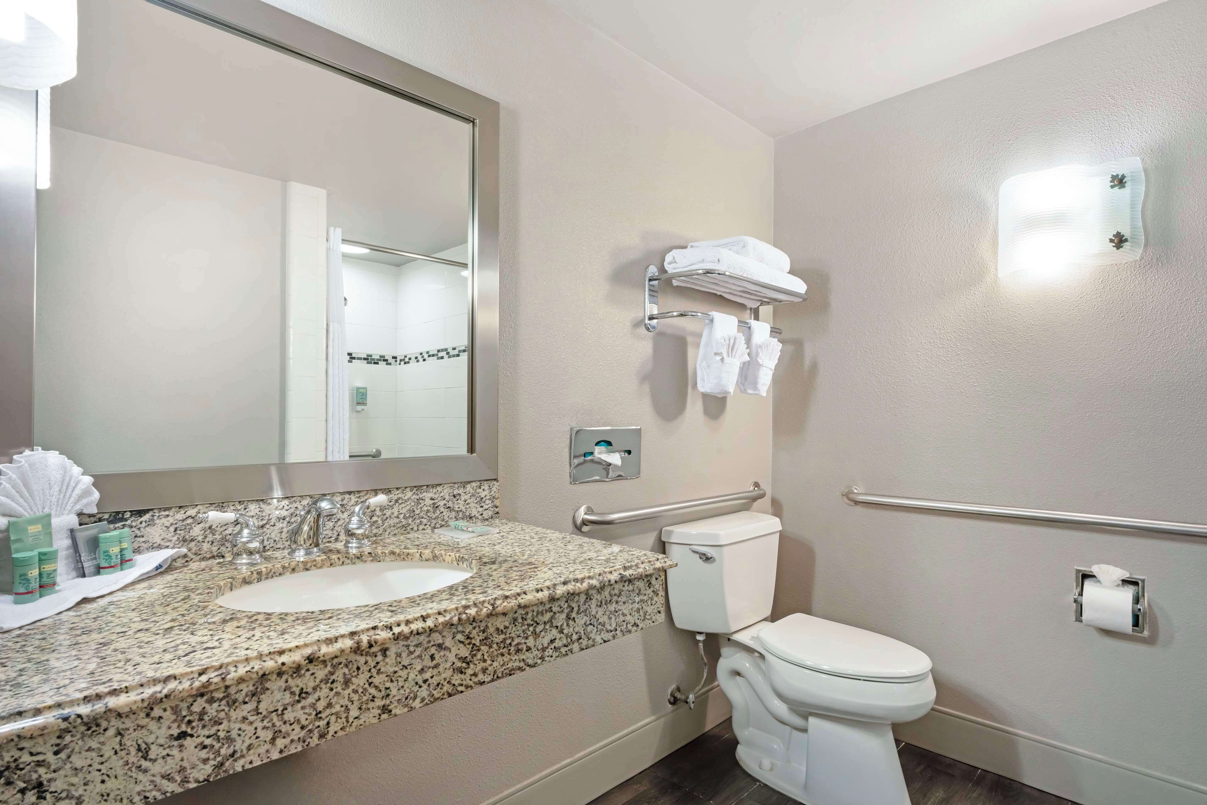 standard room, 1 king bed, accessible, non smoking | accessible bathroom