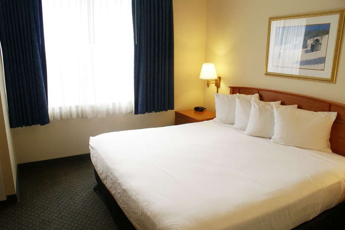 A hotel room with a large bed, a bedside table with a lamp, and a framed picture on the wall.