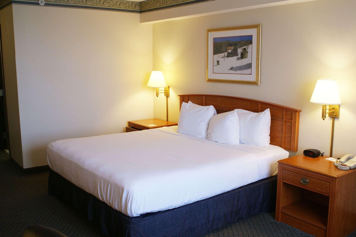 A hotel room with a large bed, two bedside tables with lamps, a framed picture on the wall, and a telephone on one of the tables.