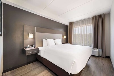 Comfort Suites Northlake