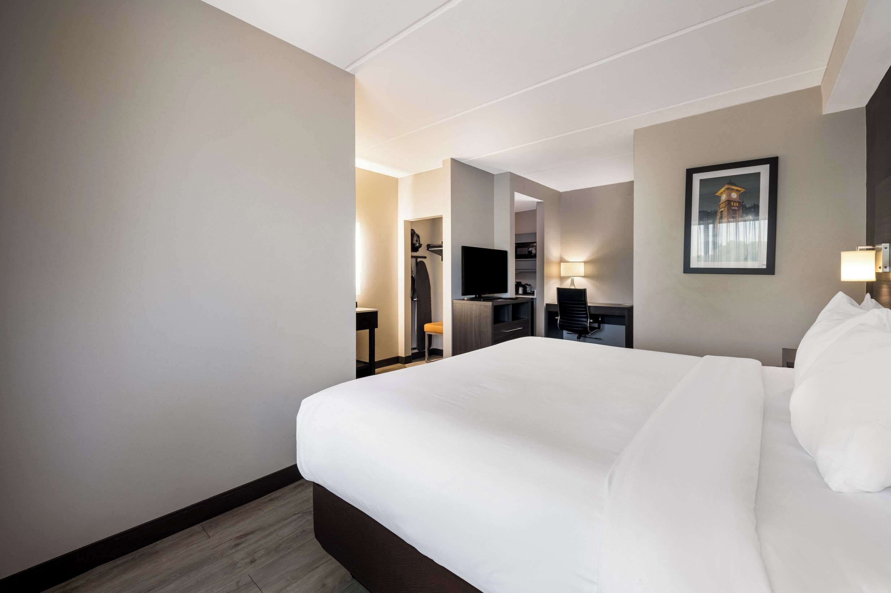 Standard Room, 1 King Bed with Sofa bed, Non Smoking | Desk, laptop workspace, iron/ironing board, free WiFi