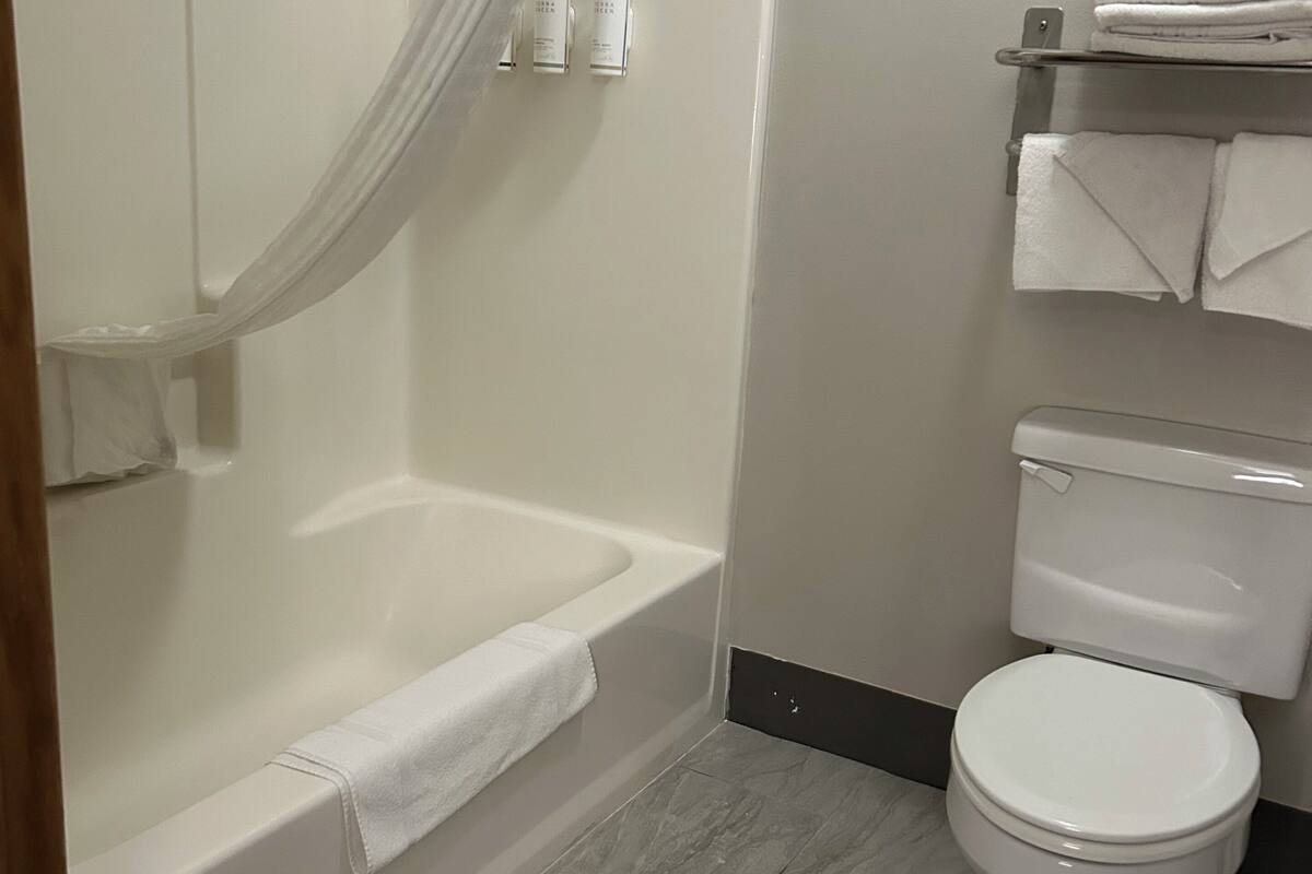 A bathroom with a bathtub, toilet, and a shower curtain.