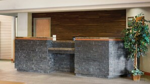 Un espace d’accueil avec un comptoir en pierre, un mur recouvert de panneaux en bois et une plante en pot.