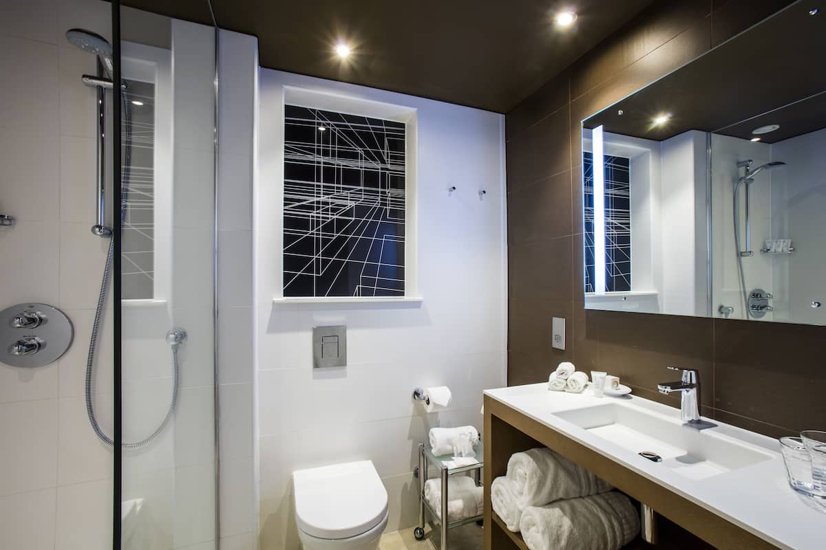 shower, free toiletries, hair dryer, towels