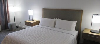 Best Western Premier Houston Downtown/Convention Center Hotel