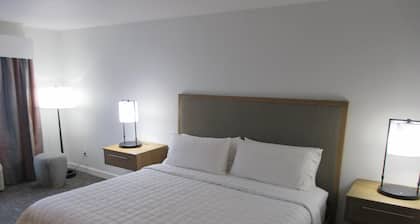 Best Western Premier Houston Downtown/Convention Center Hotel