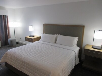 Best Western Premier Houston Downtown/Convention Center Hotel