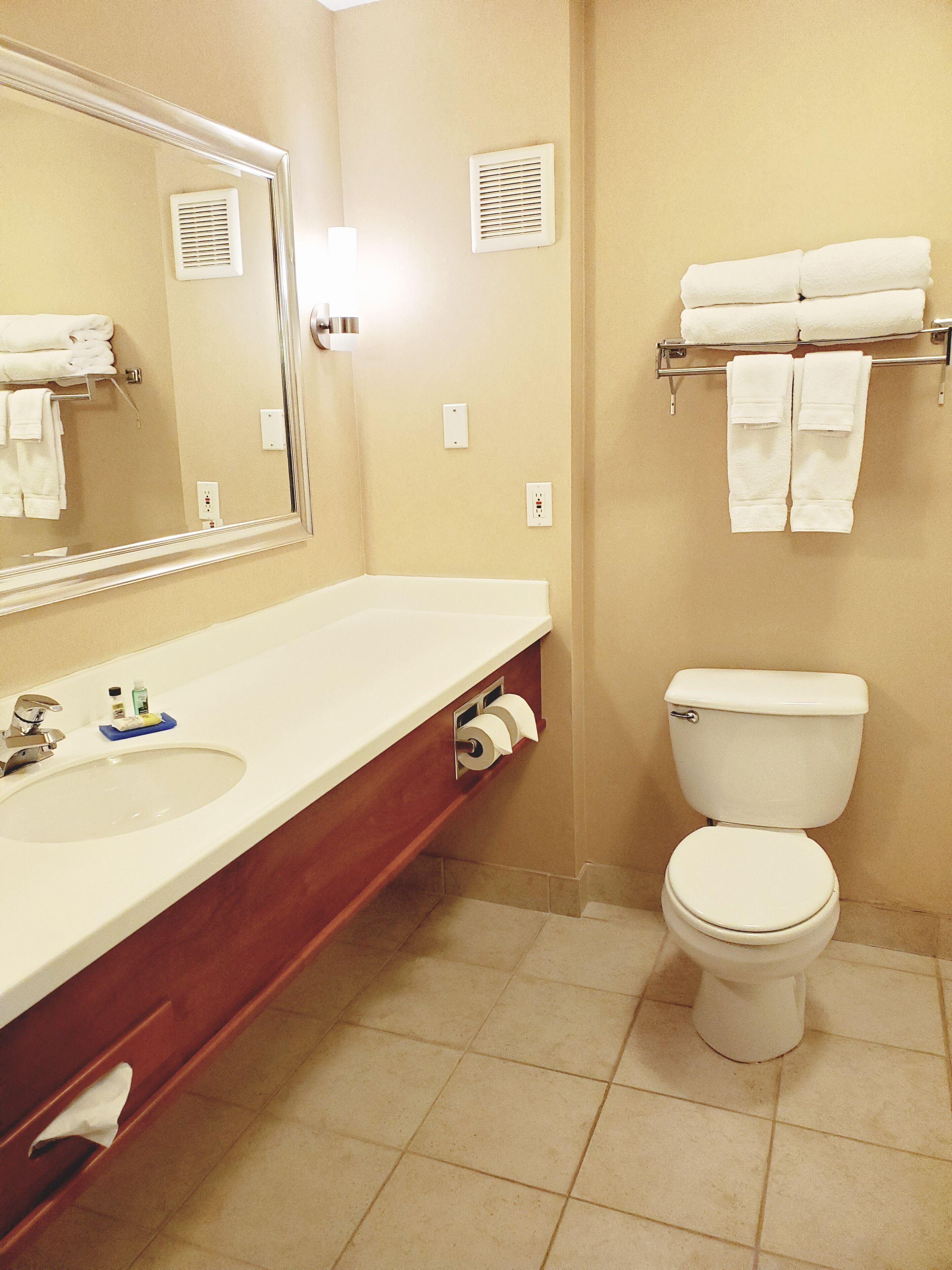 Une salle de bain équipée d’un lavabo, d’un miroir, de toilettes, d’un porte-serviettes et d’un système de ventilation.