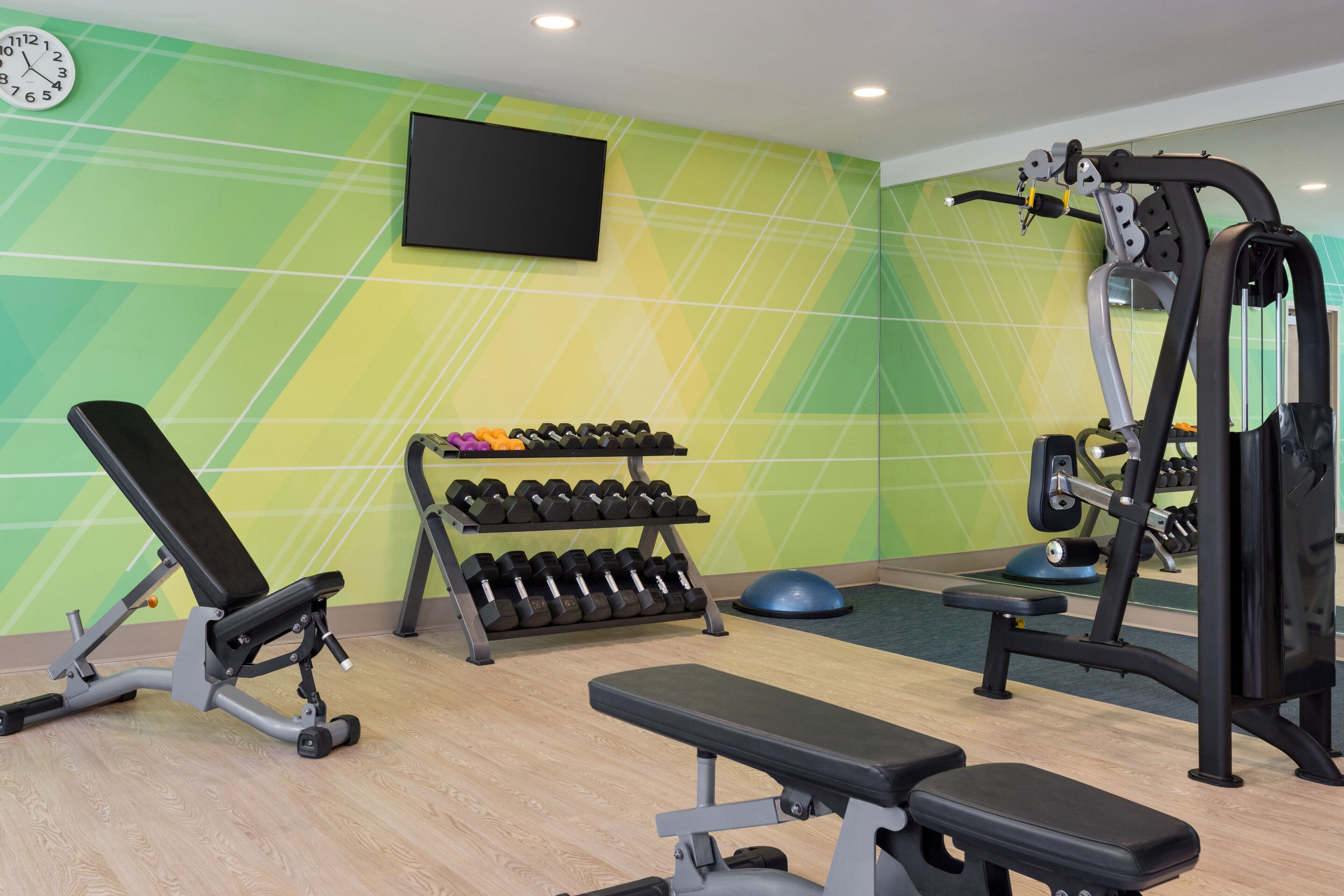 A gym with a bench, dumbbells, and exercise equipment.