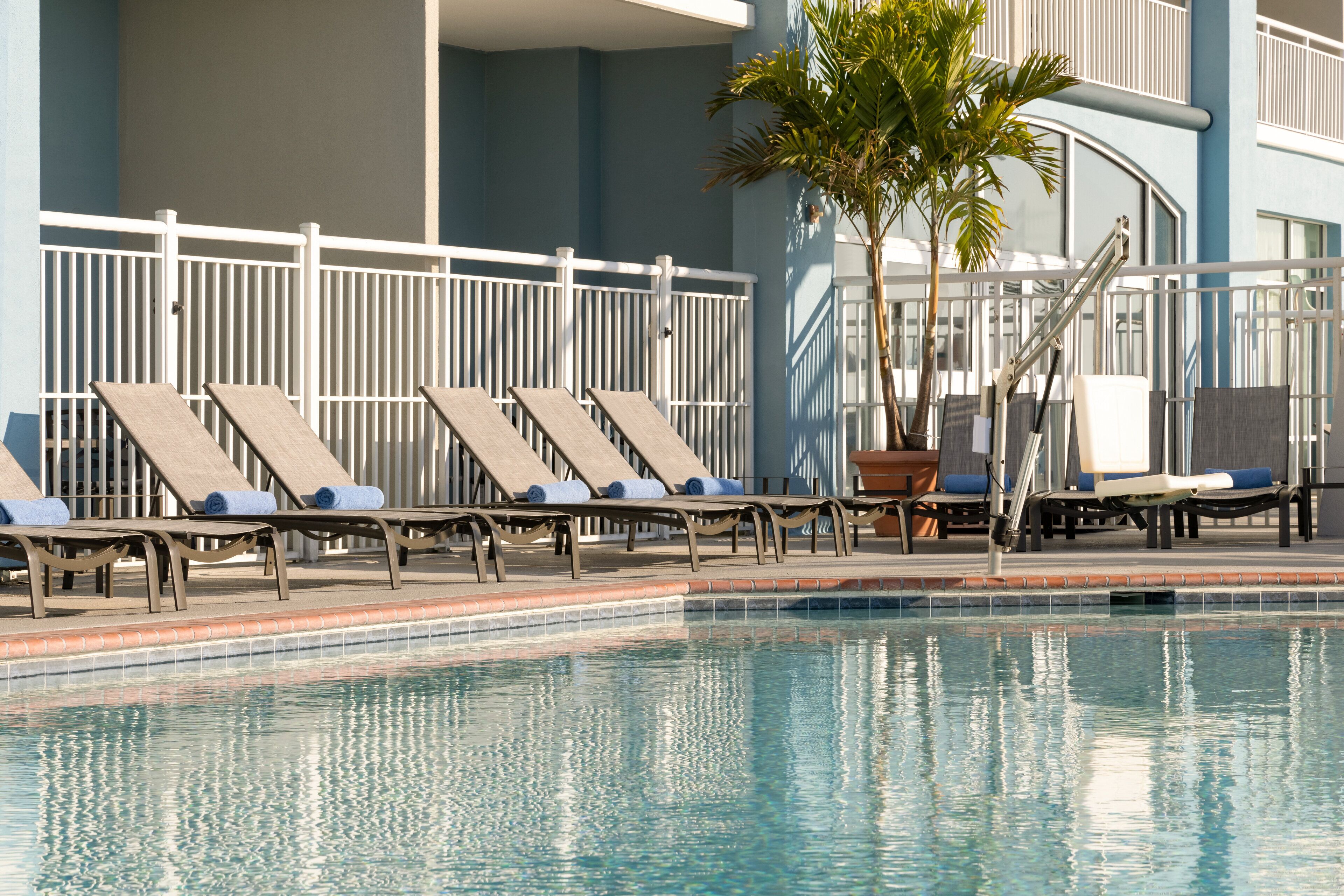A pool area with sun loungers and a palm tree.
