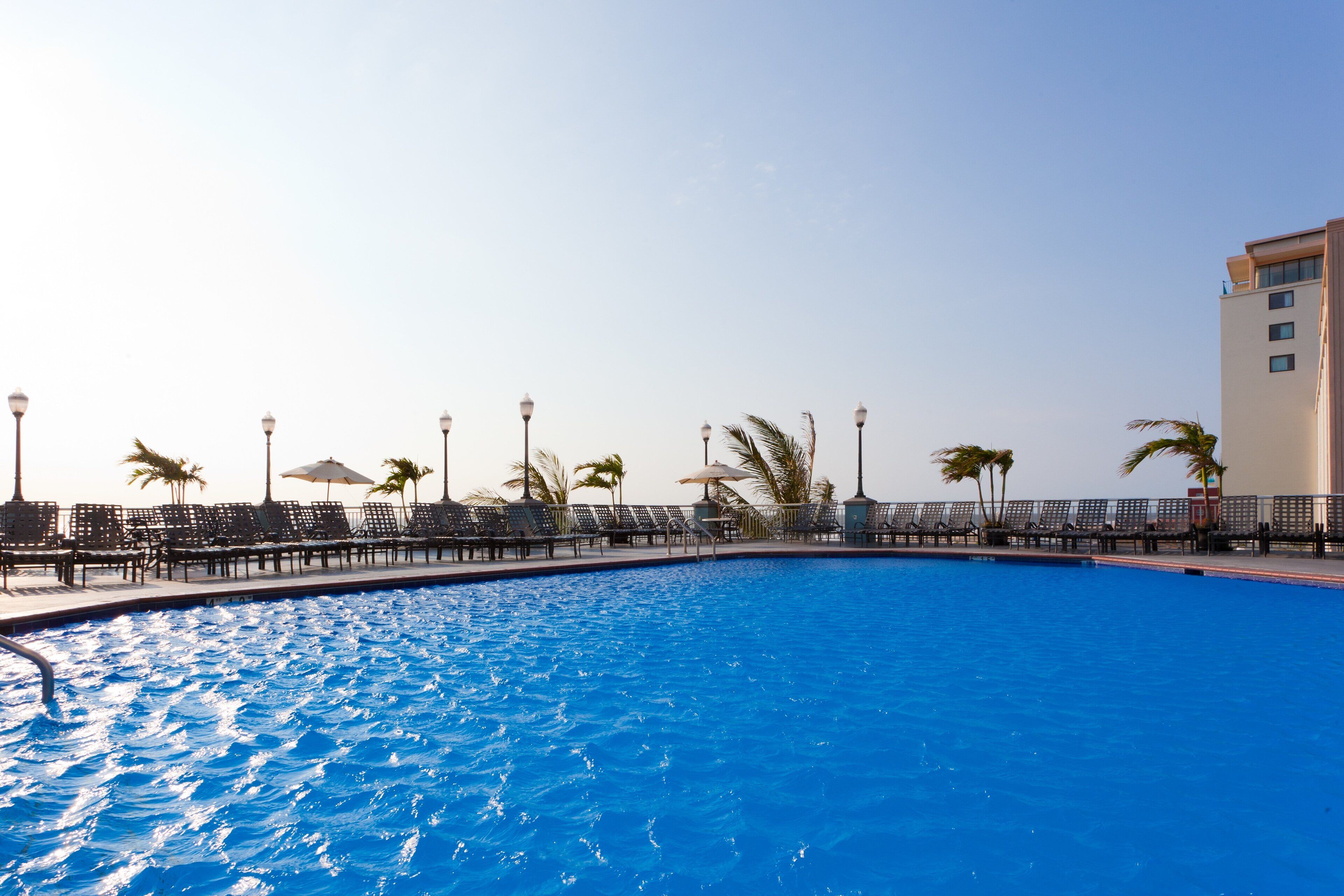 Piscina con sillas de descanso y sombrillas, rodeada por una valla y palmeras.